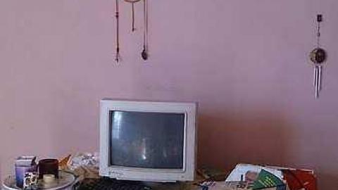 The House - Cat-House17.jpg