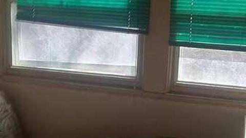 The House - Cat-House26.jpg