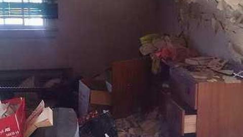 The House - Cat-House12.jpg