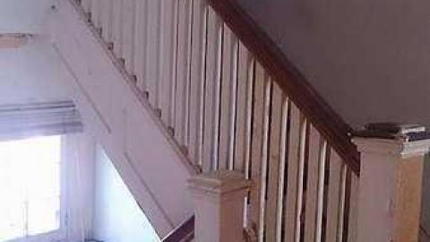 The House - Cat-House20.jpg