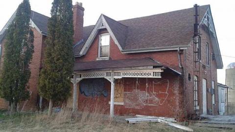 Springing Back - on1.jpg