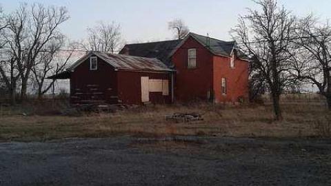 Springing Back - mv3.jpg