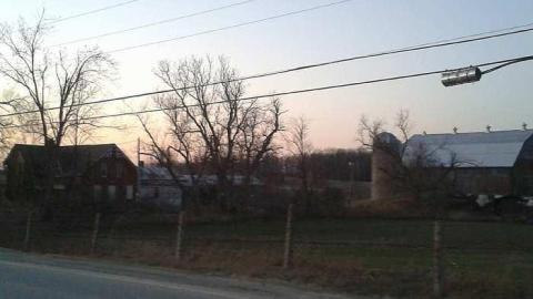 Springing Back - bb4.jpg