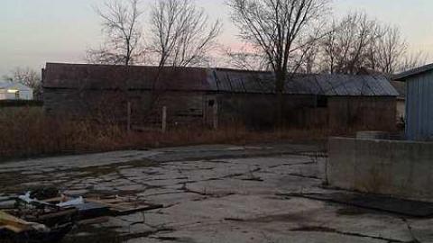 Springing Back - 9.jpg