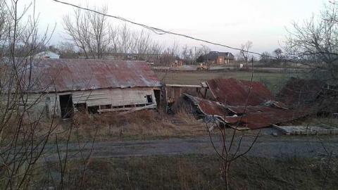 Springing Back - 10.jpg