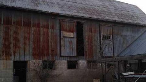 Springing Back - 11.jpg