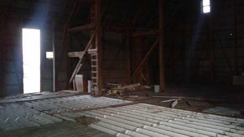 Springing Back - 13.jpg