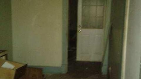 Springing Back - 15.jpg