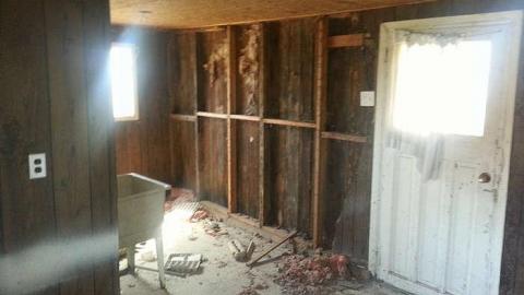 April 18.2015 - 20150418_130811.jpg