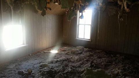 April 18.2015 - 20150418_130948.jpg