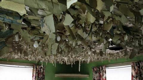 Coppers Falls  - Coopers-Falls-Ghost-Town167.jpg