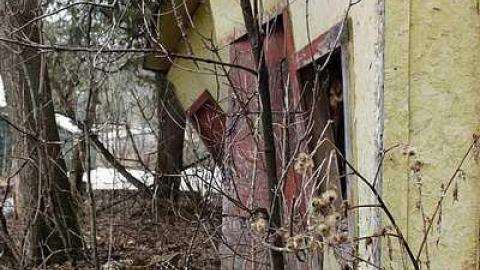 Coppers Falls  - Coopers-Falls-Ghost-Town168.jpg