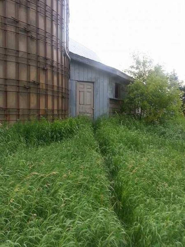 Old Farm House Gone photo 4