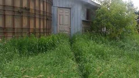 Old Farm House Gone - Old-Farm-House-Gone18.jpg