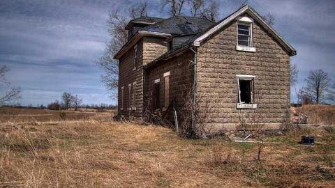 Frix The Fly - 1d.jpg