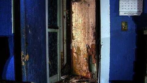 Frix The Fly - 2c.jpg