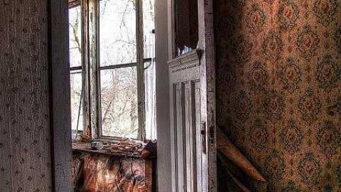 Frix The Fly - 4.jpg