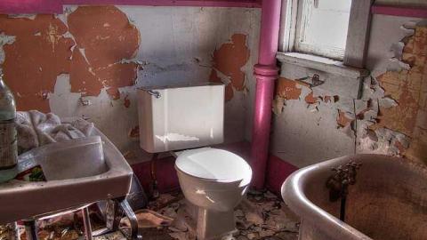 Frix The Fly - 5c.jpg