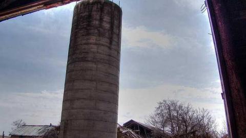 Frix The Fly - 8.jpg