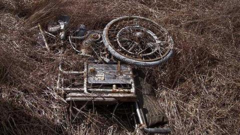 Frix The Fly - 9.jpg