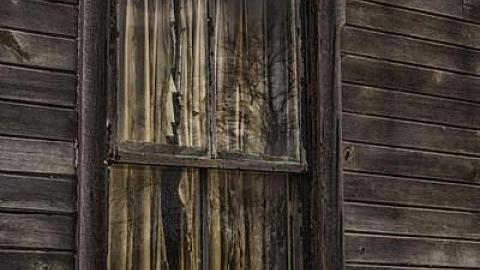 April 2015 - The-Hull-House6.jpg