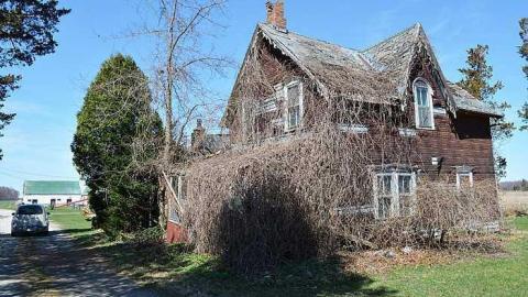 Puff Puff Pass (April 2015) - Hit-From-The-Bong3.jpg