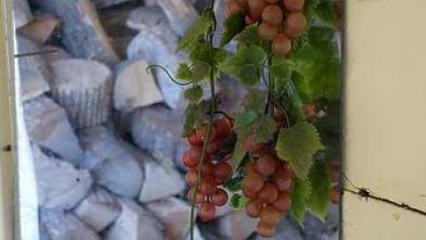 3 Stars For Twilight - DSC05832.jpg