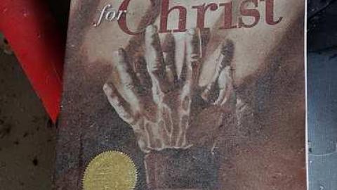 3 Stars For Twilight - DSC05843.jpg