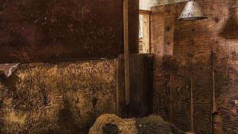 Beaver Fever (Canadian Psycho) - Across-The-River19.jpg