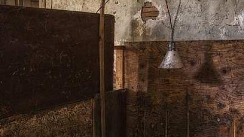 Photo from Beaver Fever (Canadian Psycho)