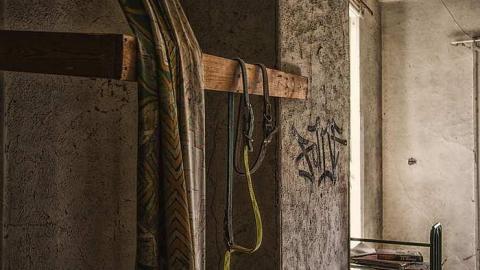 Photo from Beaver Fever (Canadian Psycho)