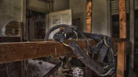 Photo from Beaver Fever (Canadian Psycho)