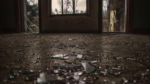 April 2015 - House-In-The-Swamp4.jpg