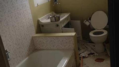 Mustang drive-in - Mustang-Drivein85.jpg