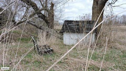 Photo from Party Zone