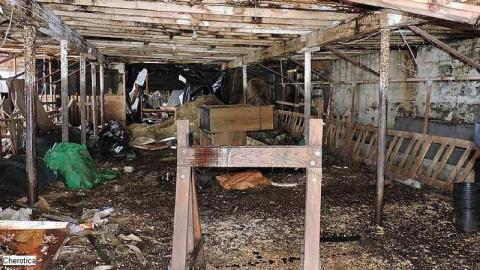 Ramped Up - The-Great-One-House4.jpg