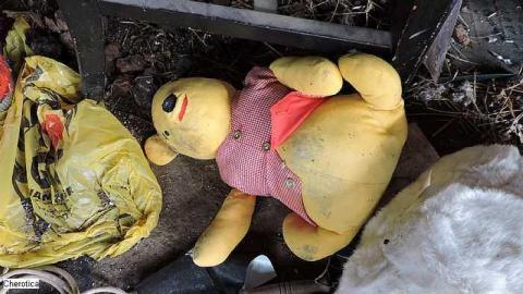 Ramped Up - The-Great-One-House7.jpg