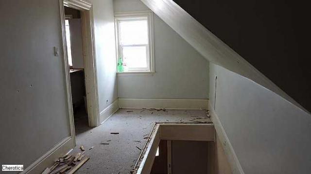 The Great One House photo 4