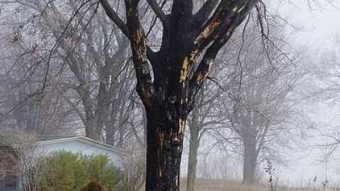 Lakewood Camp - IMGP0483.jpg