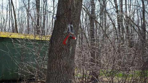 April 2015 - IMGP0666.jpg