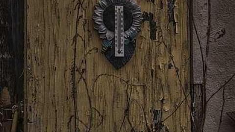 April 2015 - Sink-or-Swine6.jpg