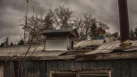 April 2015 - Sink-or-Swine1.jpg