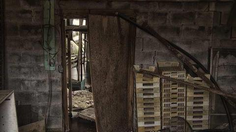 Sink or Swine - King, Ontario