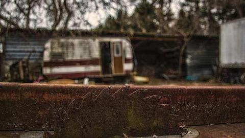 April 2015 - Sink-or-Swine8.jpg