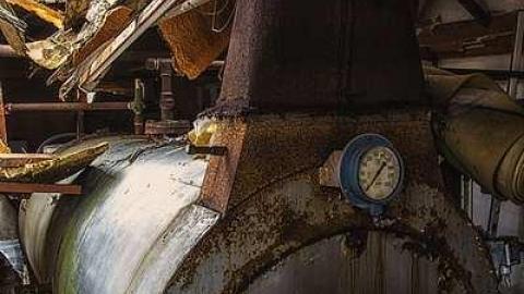 Sink or Swine photo 2