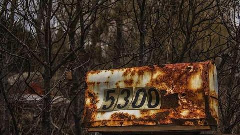 Sink or Swine photo 5