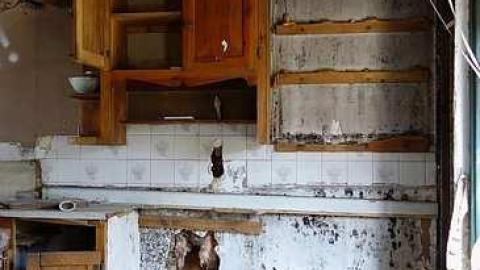 Boardless April '15 - Rockwood-Farm-House4.jpg