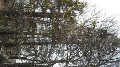 March 29, 2011 - John-Leary-House13.jpg