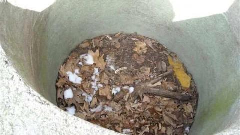 John Leary House photo 2