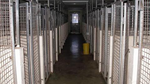 Jan 2015  - The-Pet-Vet12.jpg